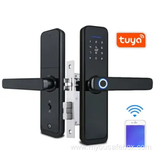 Smart WiFi Door Lock with Fingerprint & Password Access